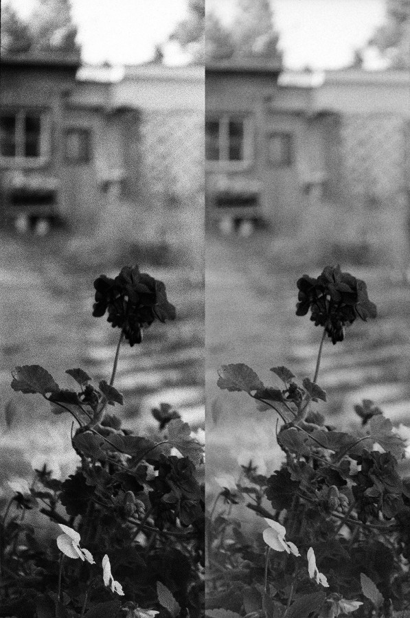 scaner-dslr-2