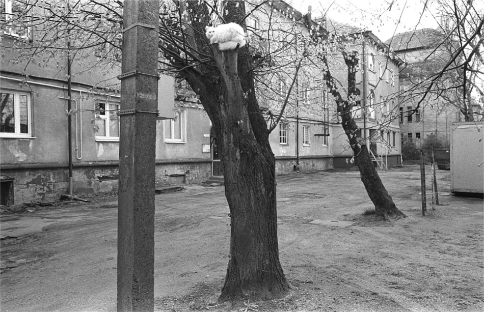 uC9-tAgjcYg