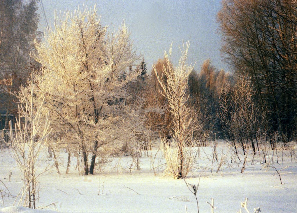 vf_469-2