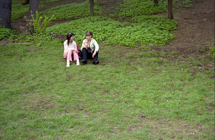 17_crop5