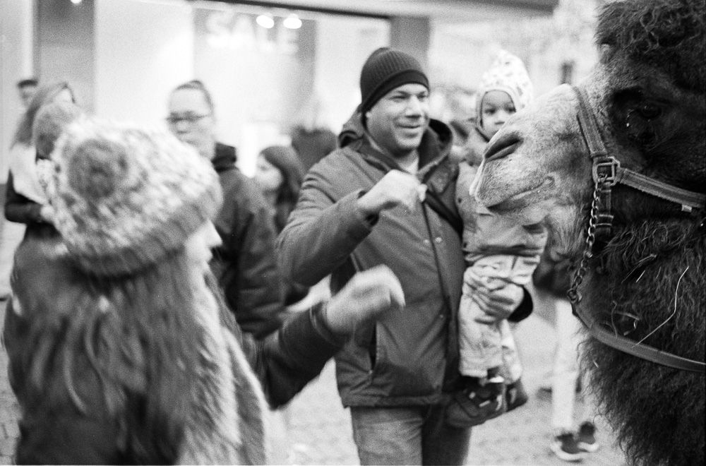 20180209-M7_HP5_HCE_N_2018-02-08_1_011
