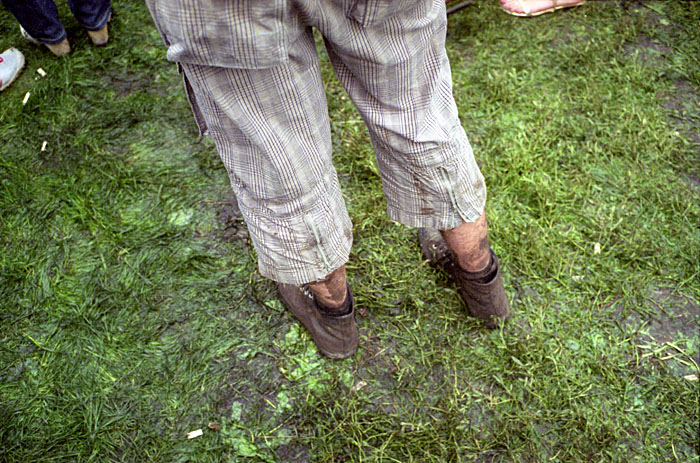 35_crop8