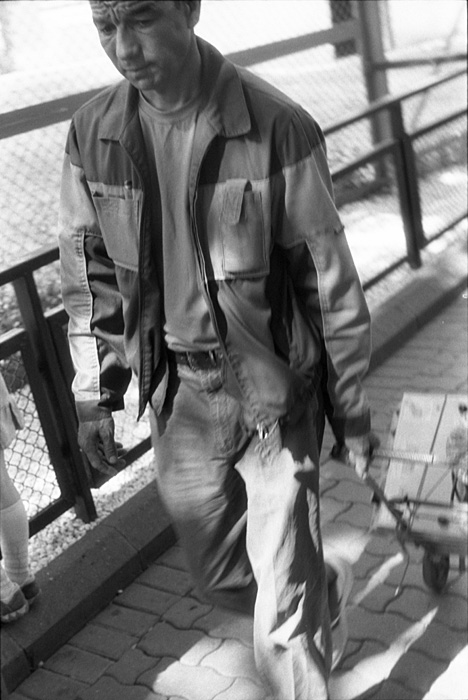 3_crop11