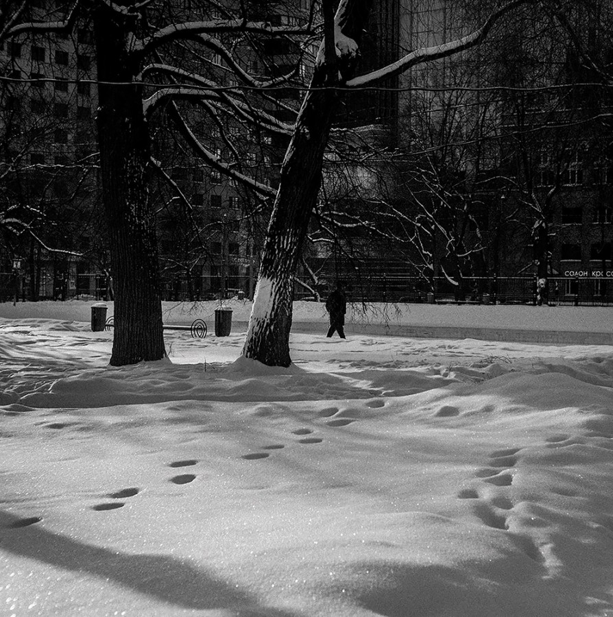 723_3_1_1000-