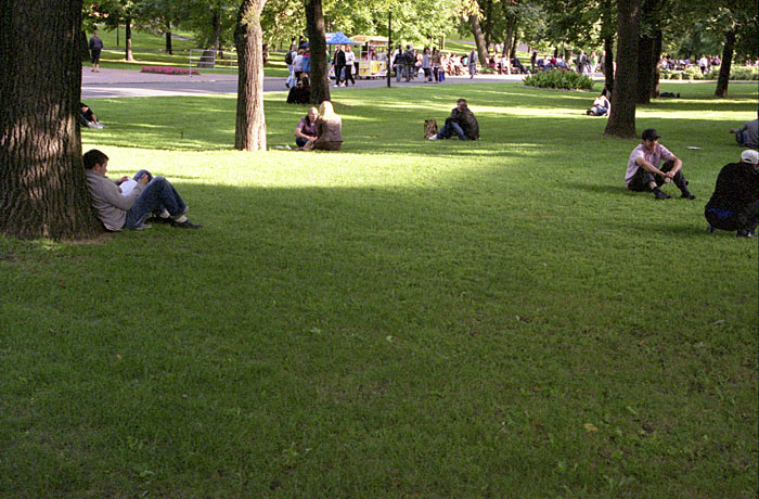 8_crop11