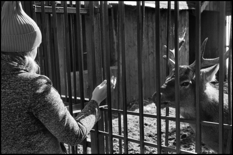 Apr_2023_Kiev_NikS2_50_mm_PAN400_274