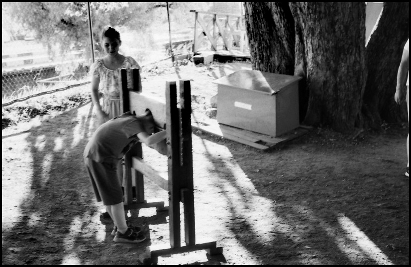 August_2023_Kiev_4_63_gel_103_FP4_00221