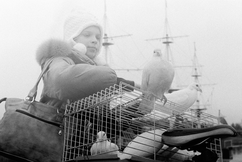HP5_Foca_25_