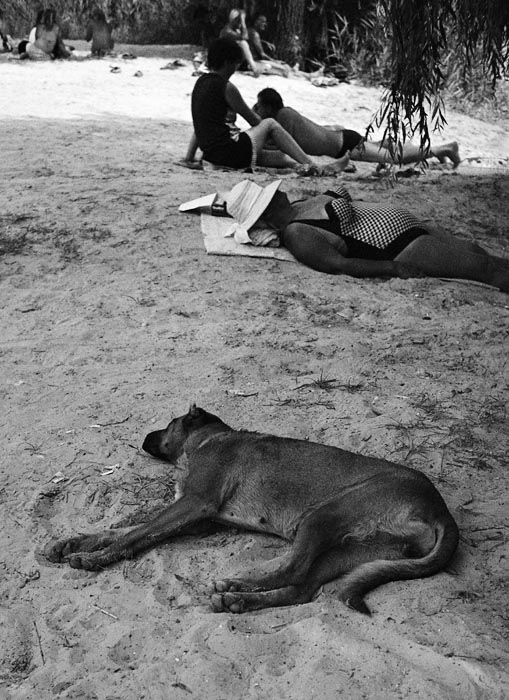 IMG001_bw