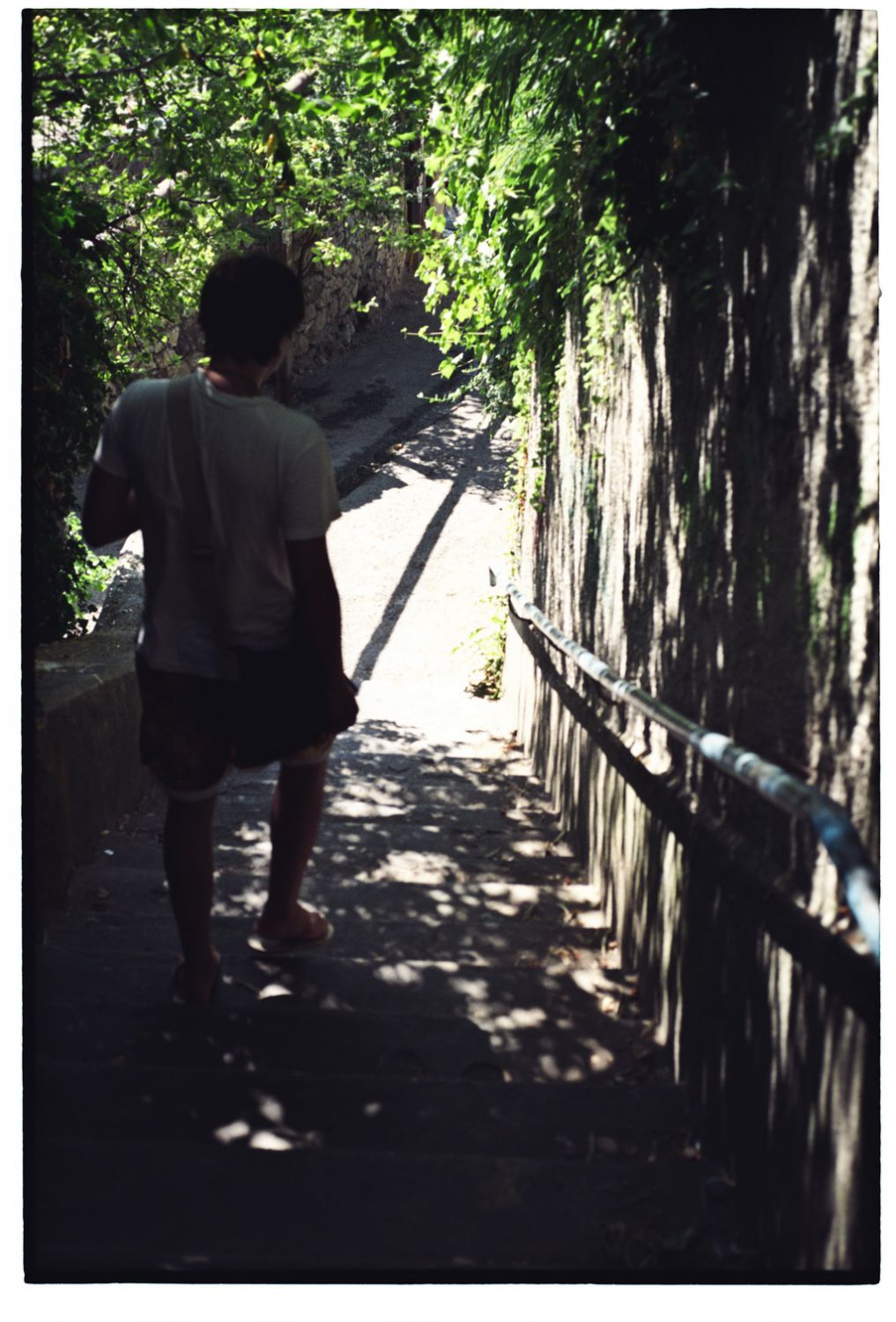 IMG1806_resize