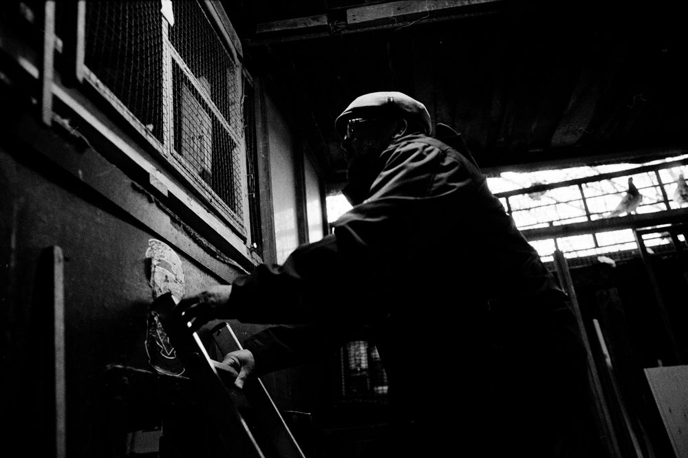IMG_02051