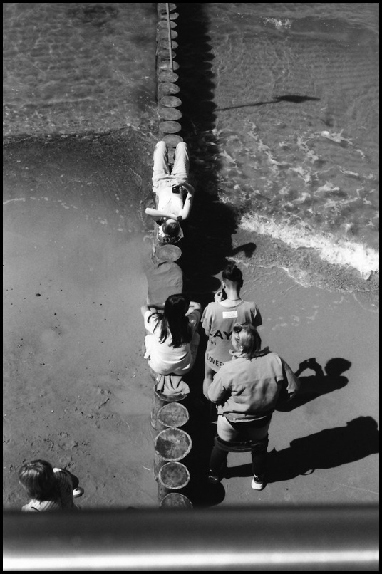 Jule_2023_Nikon_S2_Nikk_502_FP4_0004