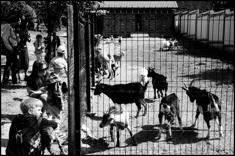 June_2023_Kiev_4_63_Jup_8_FP4_0016