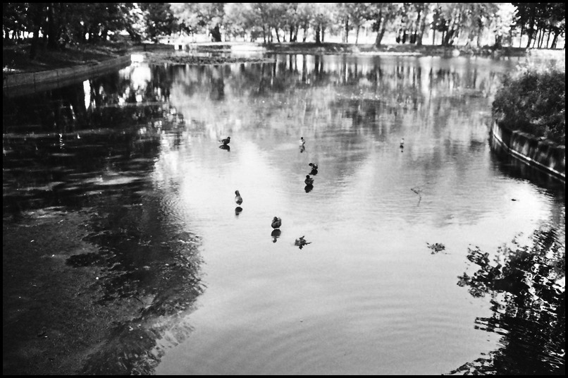 June_2024_FED2_Accol_35_mm_FOMA_400_0018