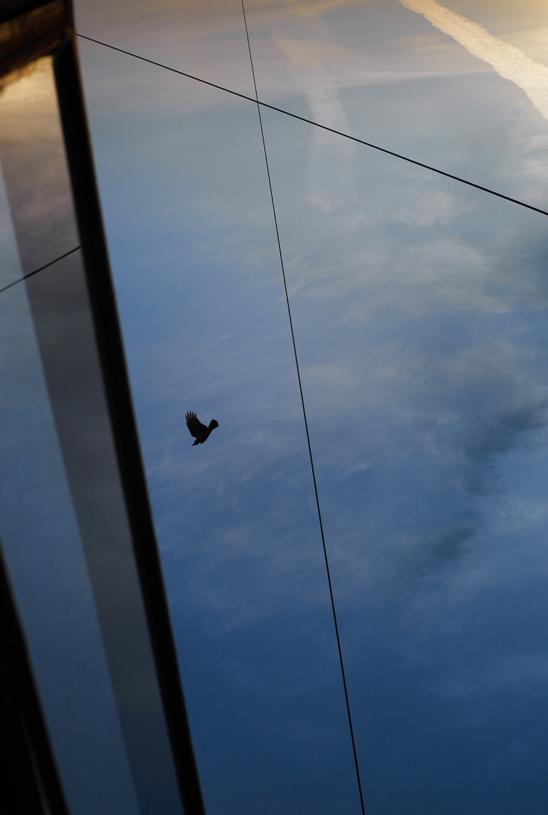 L1003292_11
