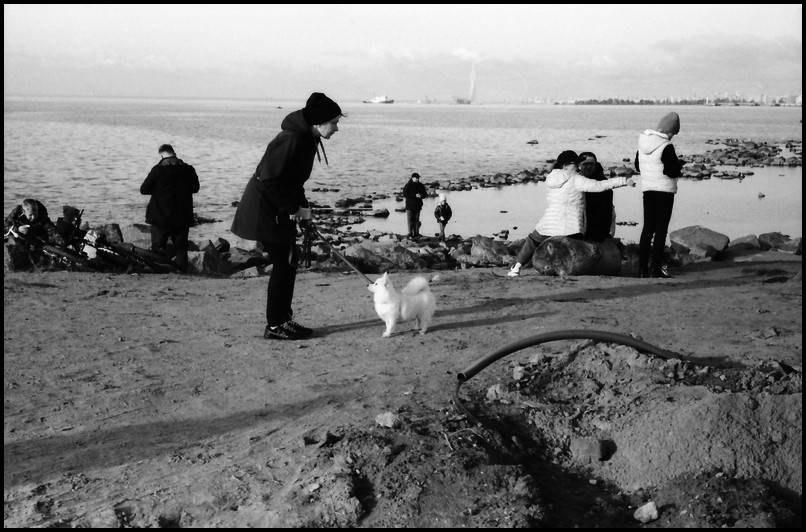 Okt_2022_Nikon_S2_Jup_11_PAN100_342
