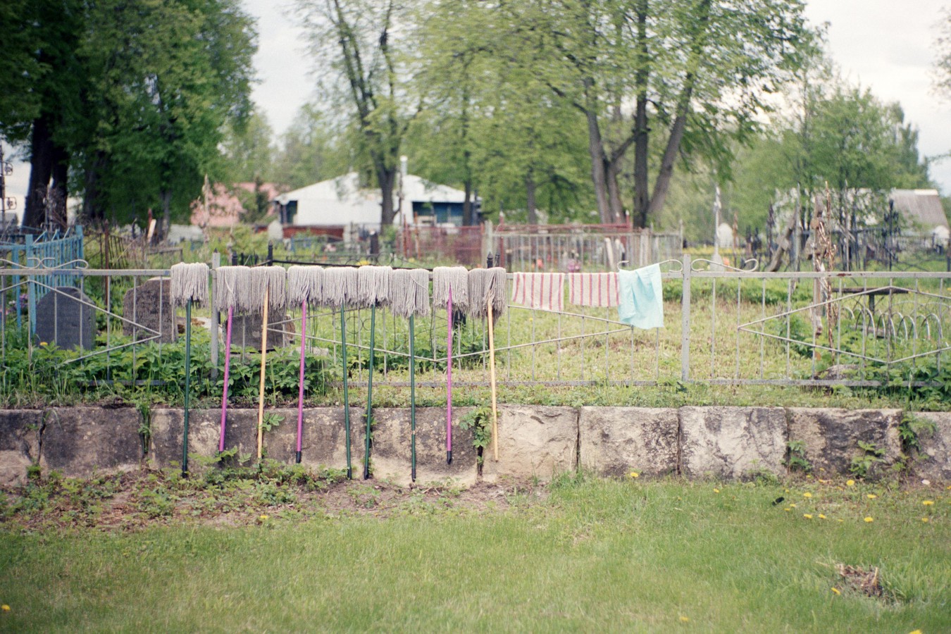 Portra400Scan-200615-0010_copy