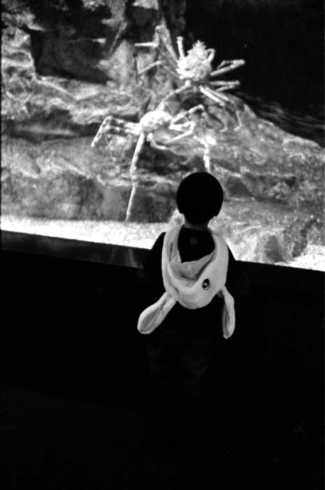Scan-080420-0001_