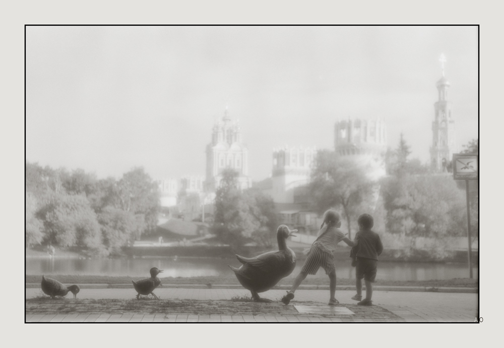 Untitled-1_1000