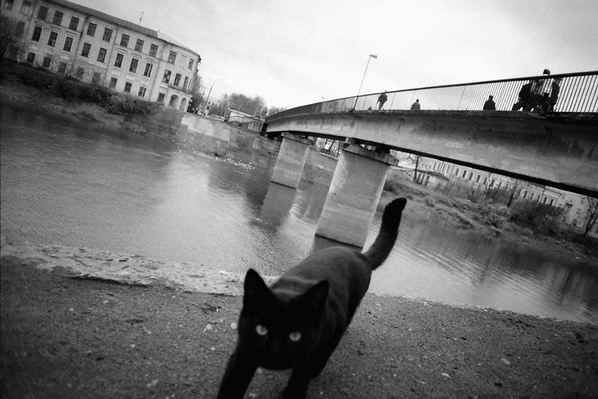 Untitled-51245556666