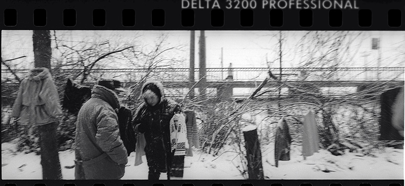 Untitled_201