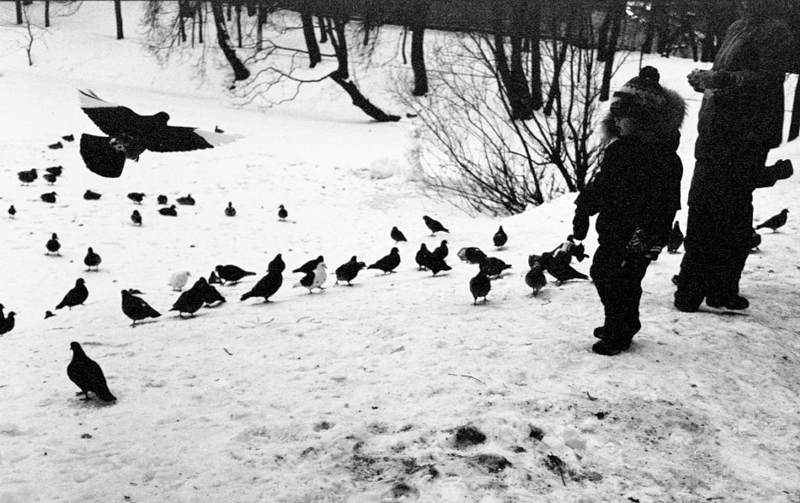 Untitled_23_5