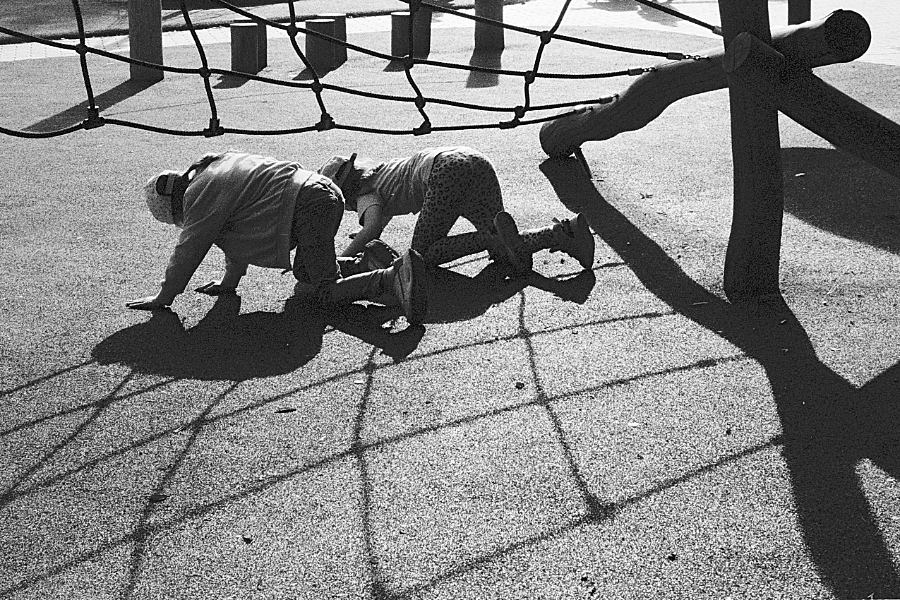 Untitled_814_