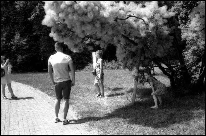 VESNA_LETO22_LCL_40MM_PAN100_01_743