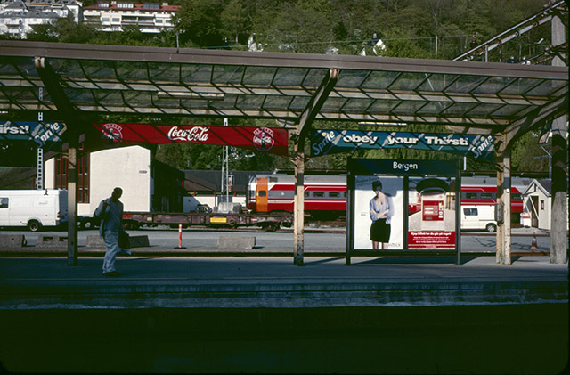 bergen495