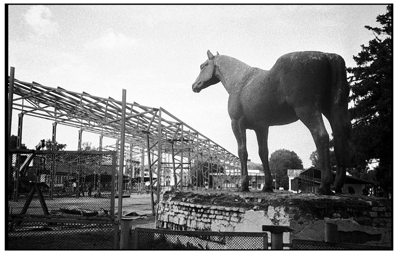 bw--43-copy