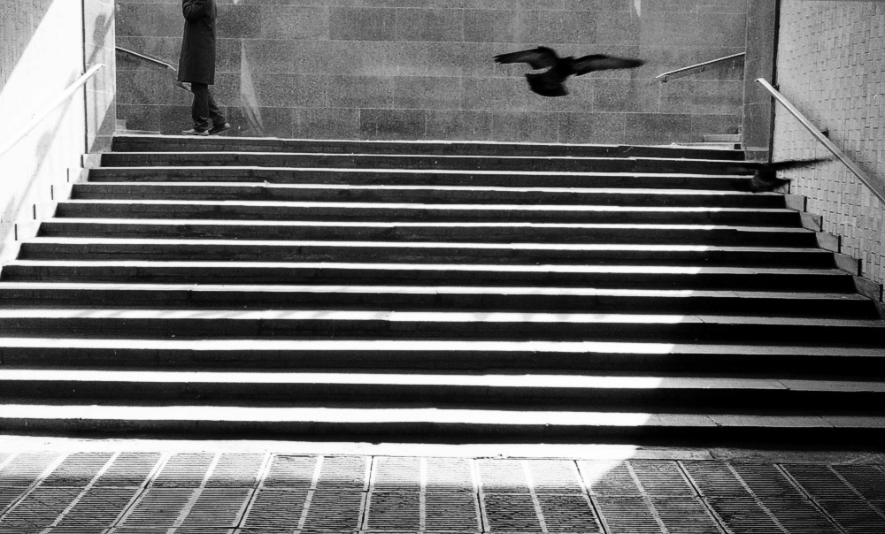 leica832
