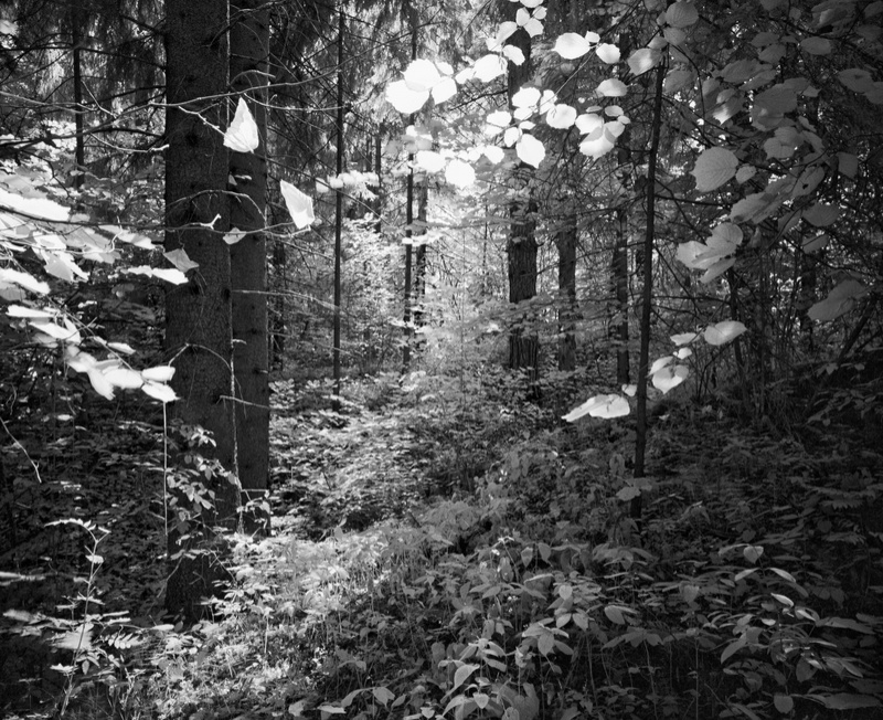 001_Rollei-IR_800x654_