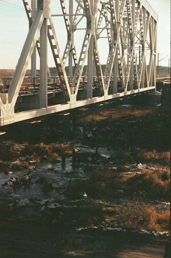 00290016