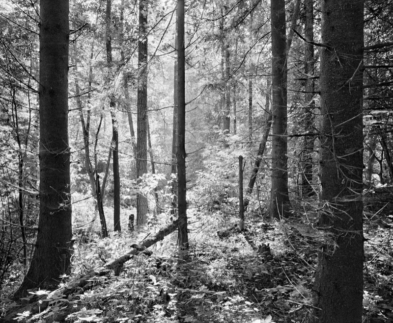 008_HP5_800x658_