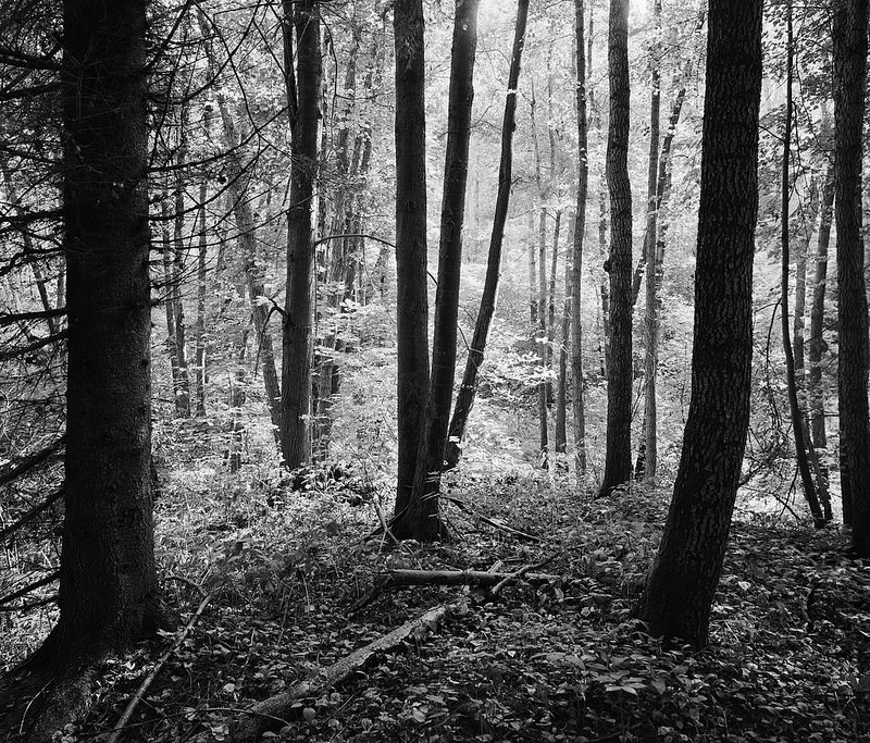 010_HP5_800x683_