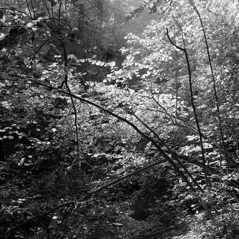 013_HP5_800x800_