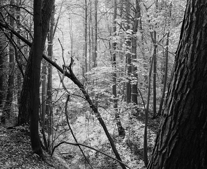 014_HP5_800x652_