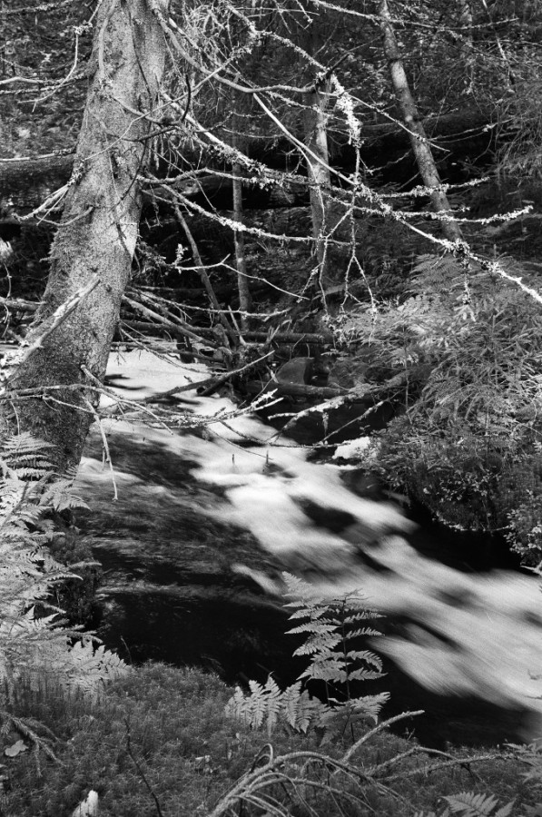 03270029_1024