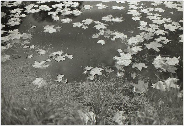 2007-09-bw-QL19-2-www-009