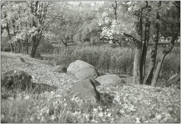 2007-09-bw-QL19-2-www-024
