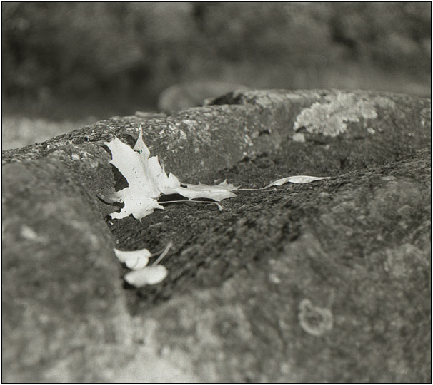 2007-09-bw-QL19-www-2-023