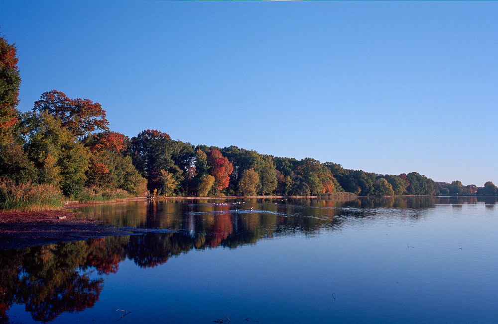 20181018-M6_Ektar_Summarit50_Elm28_VS_N_2018-10-18-0033