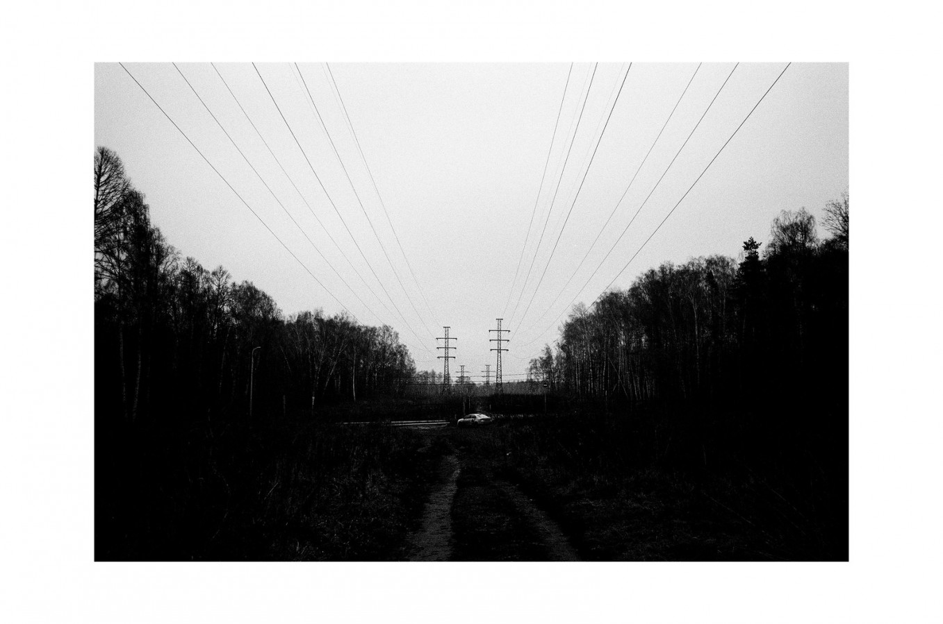 51715834603_145c546135_h