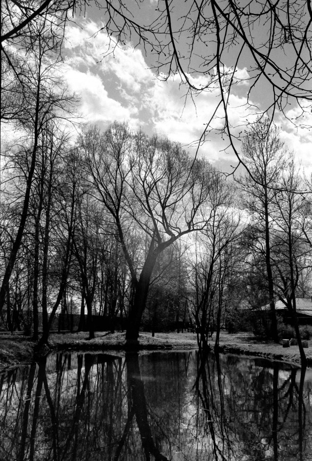 FED_2_JUPITER_12_FOMAPAN_100_at_200_XTOL_1-1_8_min_30_s_may_2021_88