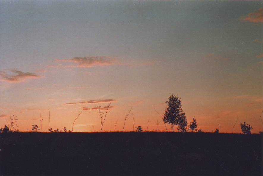 IMAGE0028