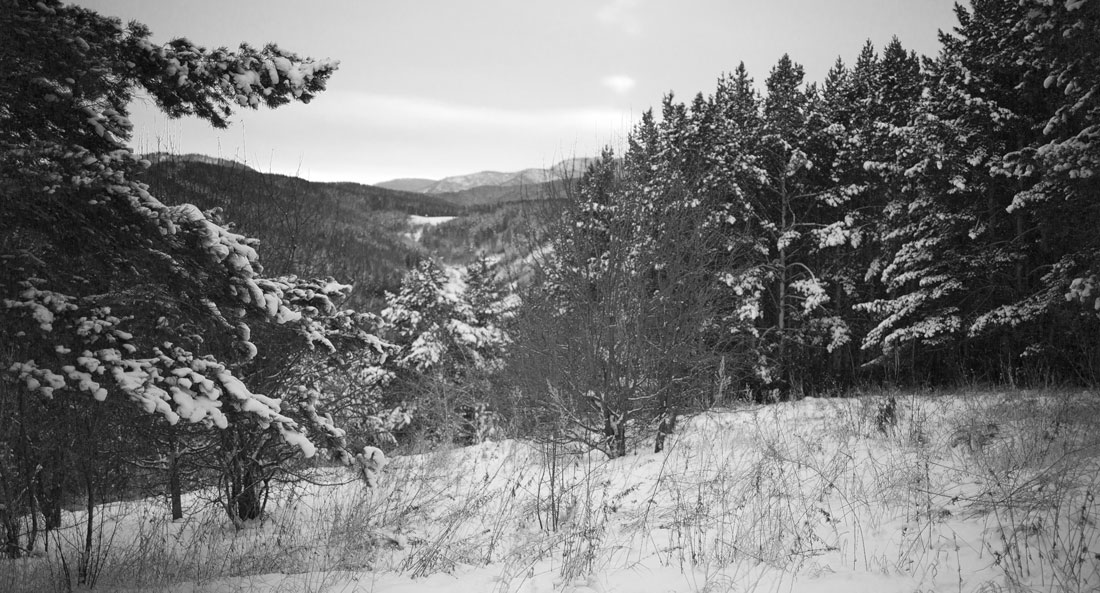 L1004861