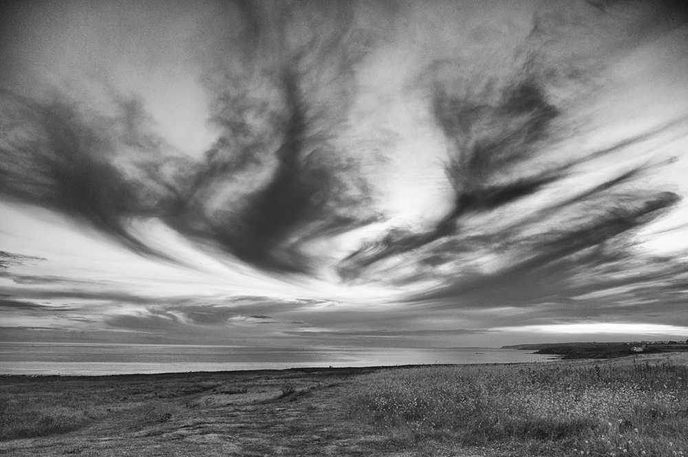 L1007141_bw