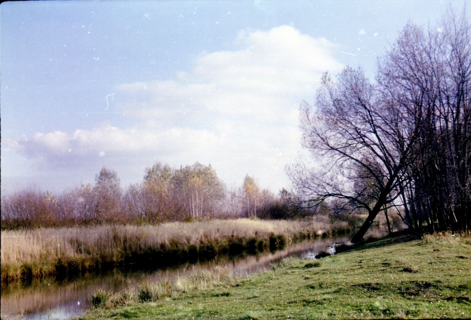 PHOTO41
