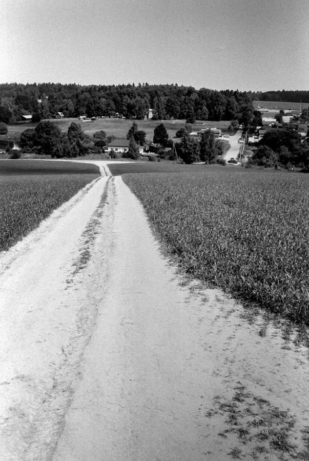 SMENA_8M_FOMAPAN_100_at_200_RDN-LQ_1x50_12_min_august_2022_71