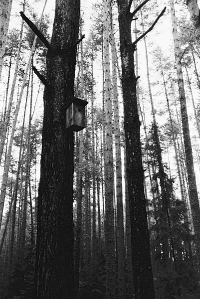 Untitled_78_